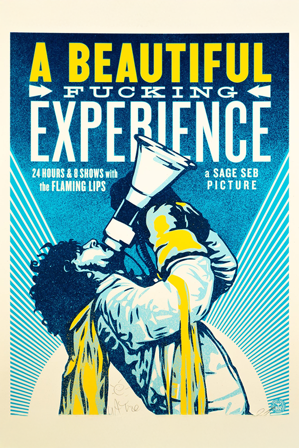 a-beautiful-fucking-experience-movie-poster